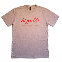 Heather Gray Vneck