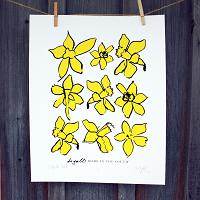 Daffodil Hill