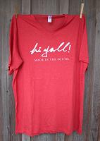 Triblend Logo Vneck